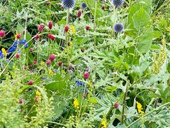 -白草畔自然风景区