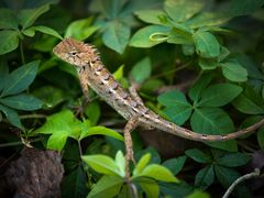 子兮摄影-29._副本-七仙岭君澜度假酒店