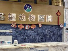 -瑞派名望志远动物医院·猫科·內科·异宠专科(直港大道店)