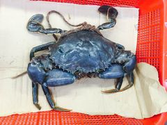 -龙海鲜螃蟹王(宏茂桥店)