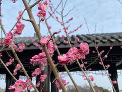 -梁鸿国家湿地公园