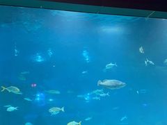 -福州罗源湾海洋世界旅游区