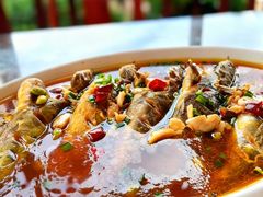 -呼吸森林·生态农庄农家乐私房菜