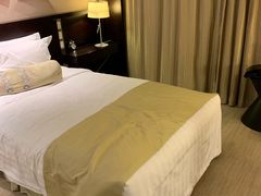 -国家会议中心大酒店