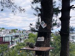 -大理苍山石门关旅游度假区