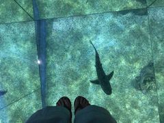 -暹罗海洋世界