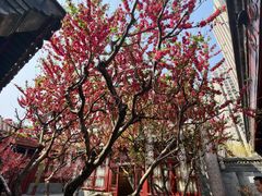 -李叔同故居纪念馆