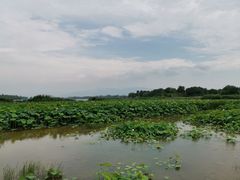 -怀来官厅水库