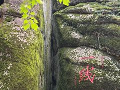 -汤旺河林海奇石景区