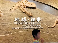 -柳州白莲洞洞穴科学博物馆