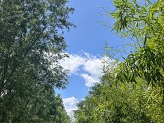 -西部长青自然儿童乐园