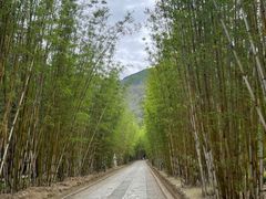 -蝴蝶泉公园