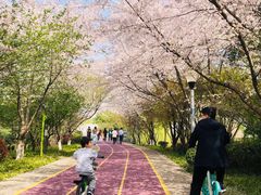 -尚贤河湿地