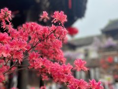 -老门东历史文化街区