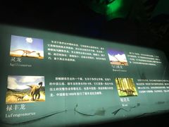 -世界恐龙谷景区