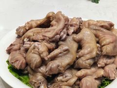 -丁老爷子苏香圆