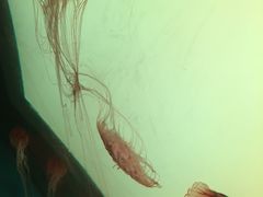 -沈阳海洋探索中心