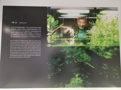 -ADA自然水景世界