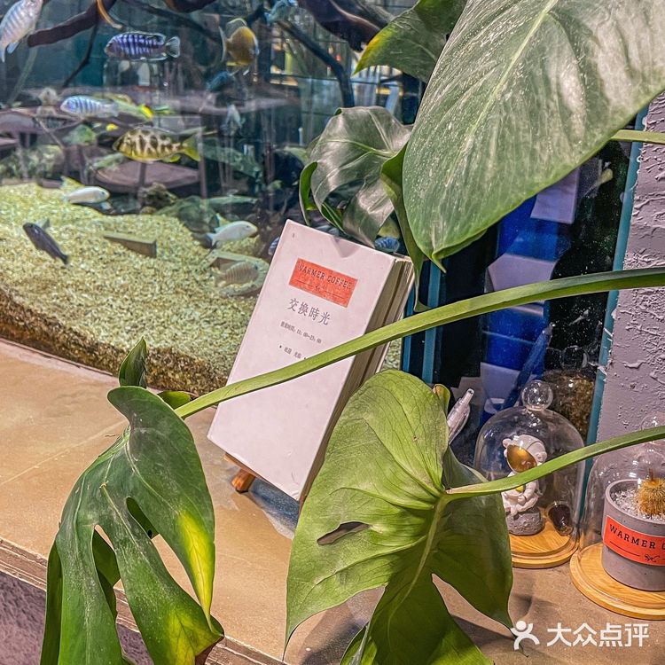 太适🈴️一家被各种当背景照的咖啡店～