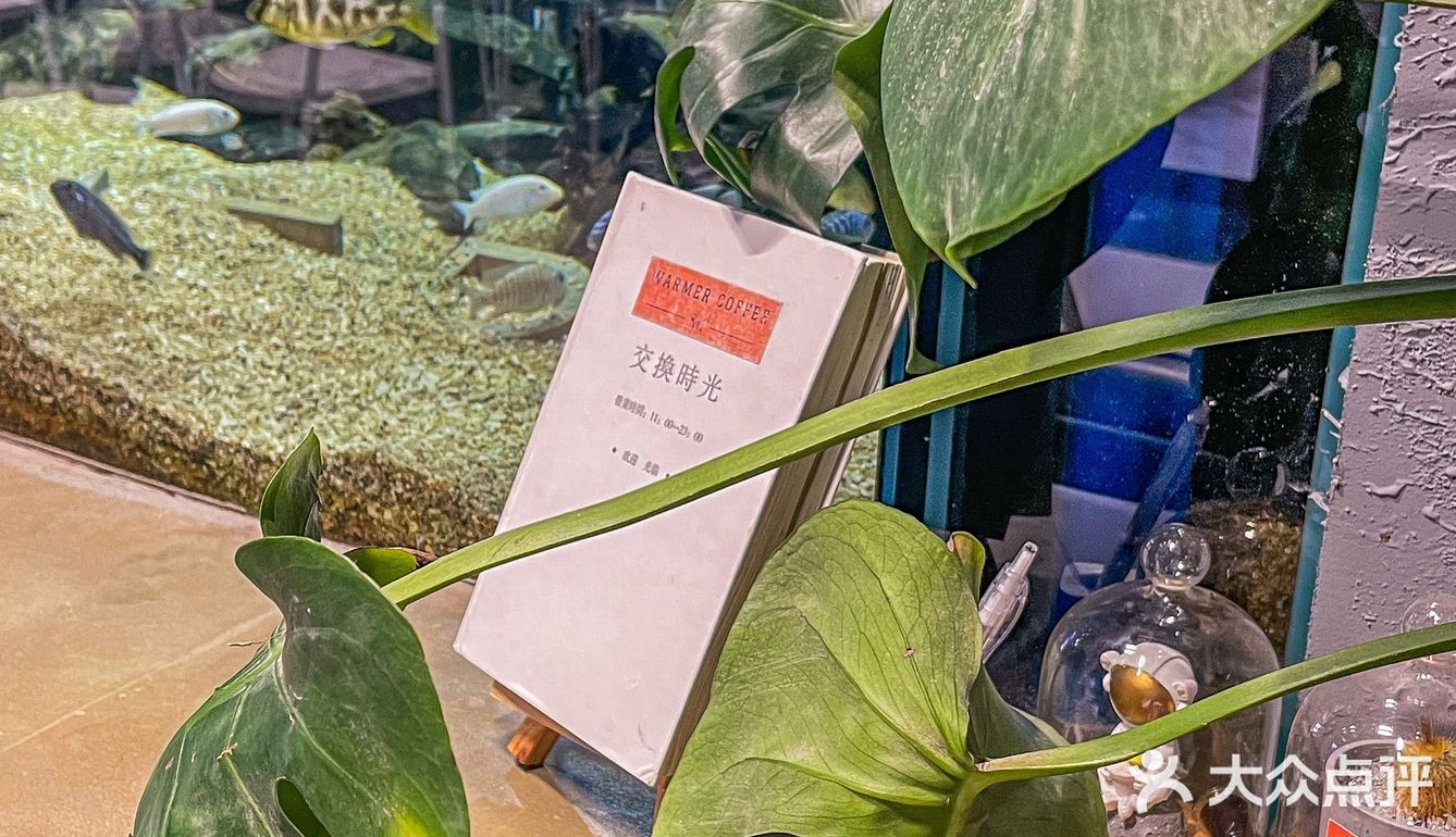 太适🈴️一家被各种当背景照的咖啡店～