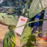 太适🈴️一家被各种当背景照的咖啡店～