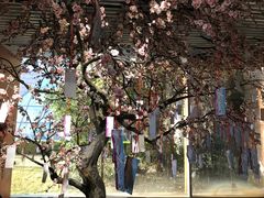 -上海市龙华烈士陵园