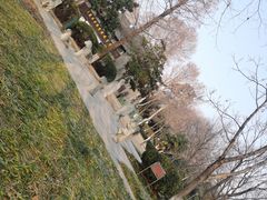 -泰州凤城河风景区-泰山公园