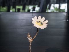 -知美术馆