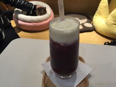 -滚猫咖啡·猫咖·猫友好撸猫(未来城店)