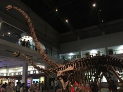 -自贡恐龙博物馆