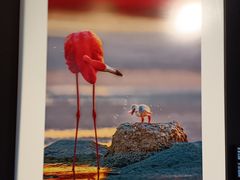 -罗红摄影艺术馆