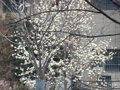 -福州人铭小吃