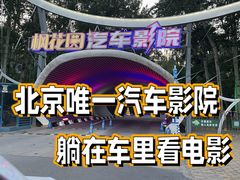 -枫花园汽车电影院(朝阳公园店)