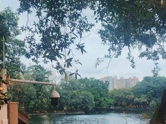 -荔湾湖公园