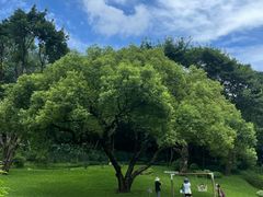 -云溪植物园
