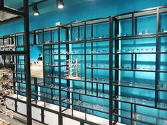 -Trend1881视光·蔡司视觉(领展广场店)