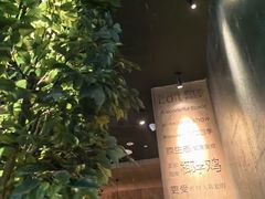 -同仁四季椰子鸡(无锡滨湖万象汇店)