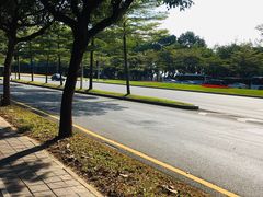 -深圳国际园林花卉博览园