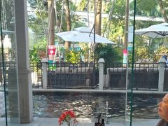 -深圳威尼斯英迪格酒店-邻芙花廊下午茶·NINFA GALLERY·蛋糕·咖啡