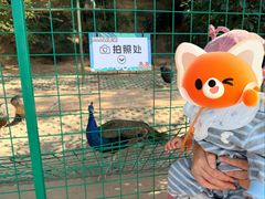 -杭州开元森泊度假乐园