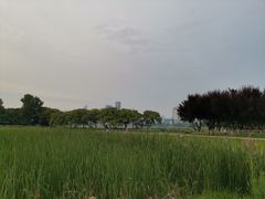 -月湖风景区
