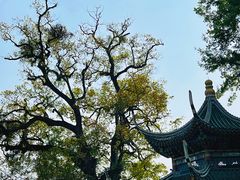 -南华禅寺
