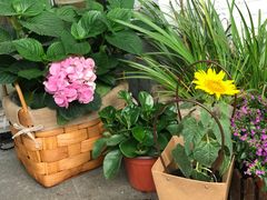 -艾蜜西餐厅(梅园店)