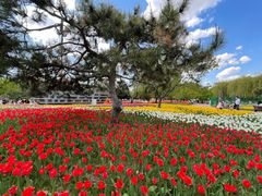 -长春公园(普阳街道)