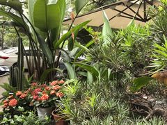 -山水茶艺馆·点心粤菜·30年老字号