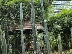 -北京中信金陵酒店