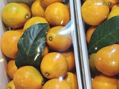 -鲜力达果品批发直销(青山店)