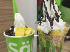 -Salud撒露欧洲冻酸奶(蓝色港湾店)