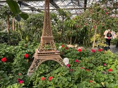 -南宫五洲植物乐园