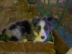 -云海轩·海鲜自助-河北云瑧世纪大饭店1F